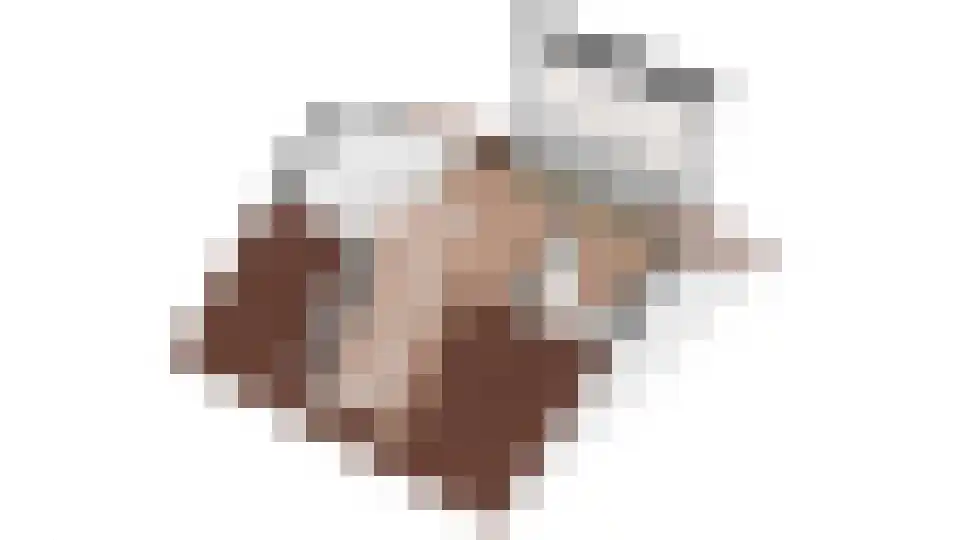 Scheepmakersdijk 25 Haarlem thumbnail 64