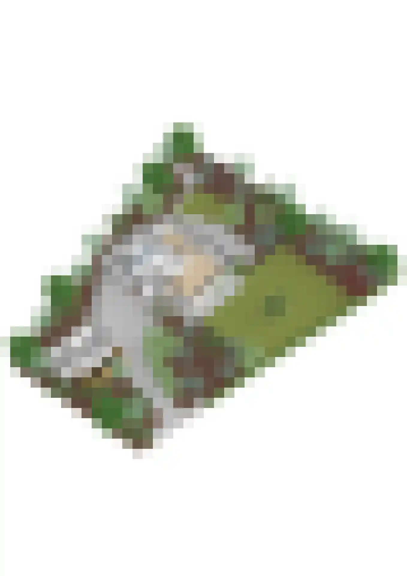 Scheepmakersdijk 25 Haarlem thumbnail 66