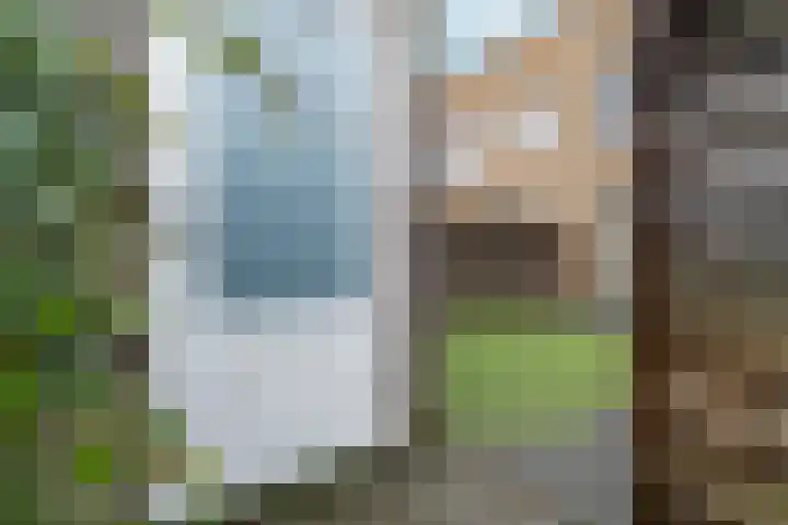 Scheepmakersdijk 25 Haarlem thumbnail 9