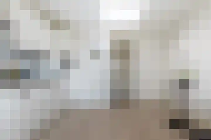 Scheepmakersdijk 53 D Haarlem thumbnail 15