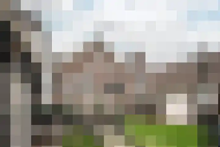 Scheepmakersdijk 9 ZW Haarlem thumbnail 21