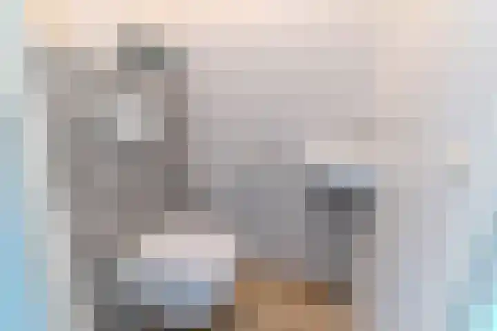 Scheepmakersingel 67 Delfgauw thumbnail 10