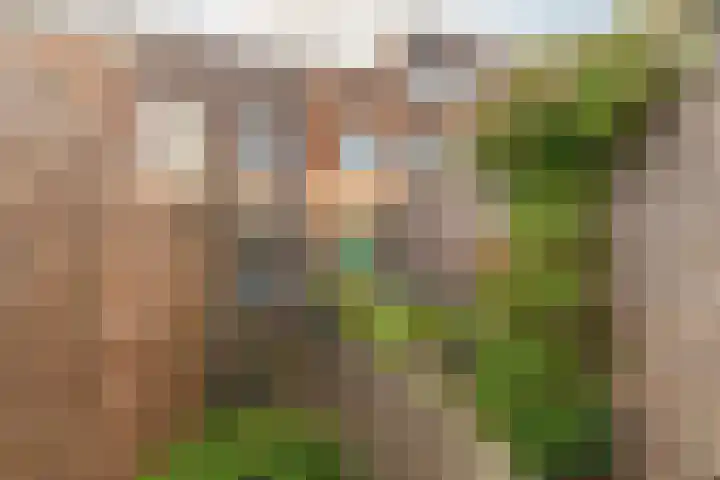 Scheepmakersingel 67 Delfgauw thumbnail 26