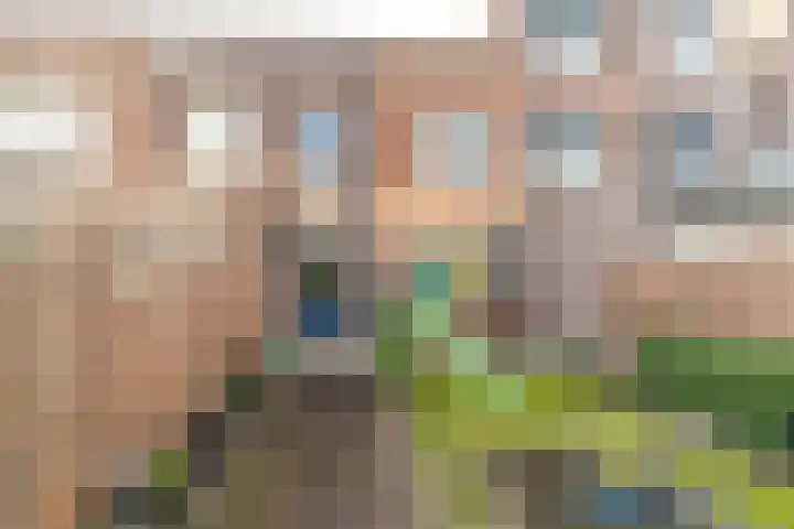 Scheepmakersingel 67 Delfgauw thumbnail 27
