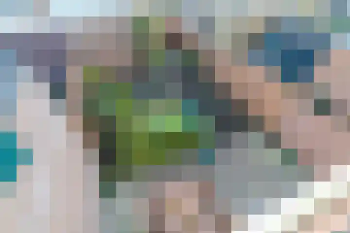 Scheepmakersingel 67 Delfgauw thumbnail 38