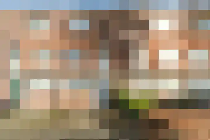 Scheepmakersingel 67 Delfgauw thumbnail 6