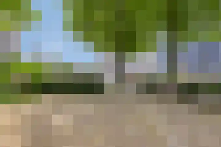 Scheepmakerskade 101 Rotterdam thumbnail 26