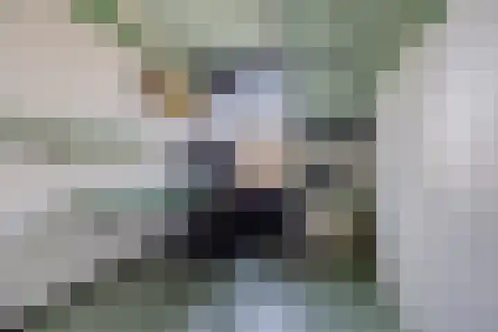 Scheepmakerskade 85 Rotterdam thumbnail 26