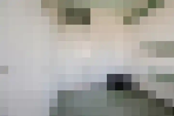 Scheepmakerskade 85 Rotterdam thumbnail 27