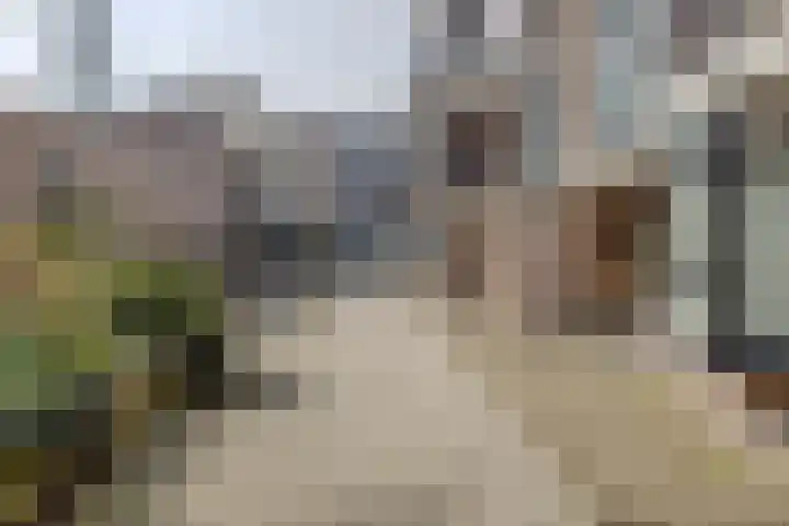 Scheepmakerskade 85 Rotterdam thumbnail 45