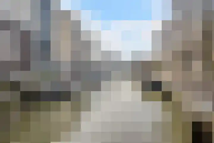 Scheepmakerskade 85 Rotterdam thumbnail 47