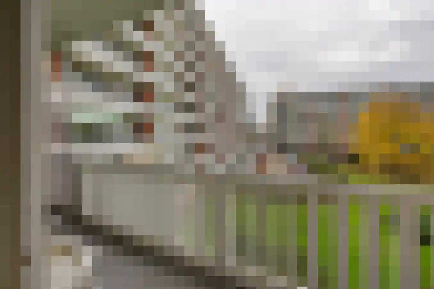 Scheepmakerskade 85 Rotterdam thumbnail 48