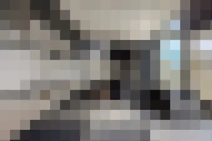 Scheepmakerskade 85 Rotterdam thumbnail 9