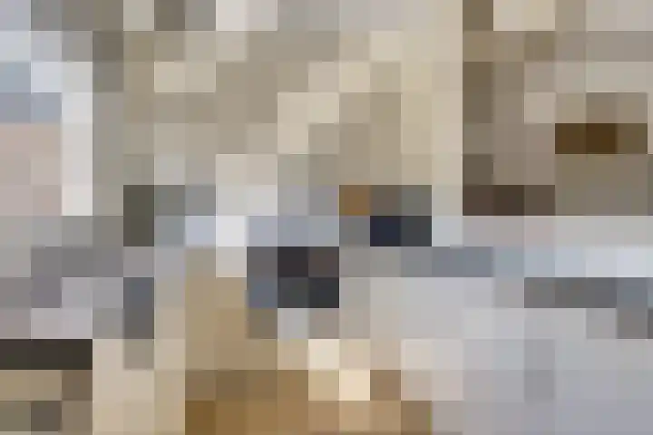 Scheepmakerspassage 145 Rotterdam