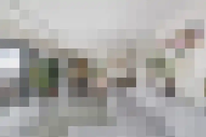 Scheepmakerspassage 145 Rotterdam thumbnail 13