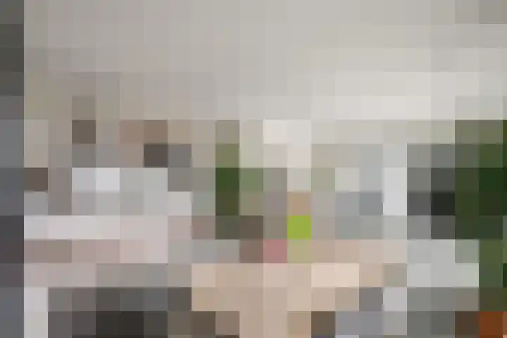 Scheepmakerspassage 145 Rotterdam thumbnail 16