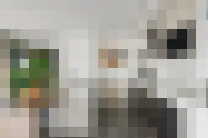 Scheepmakerspassage 145 Rotterdam thumbnail 17