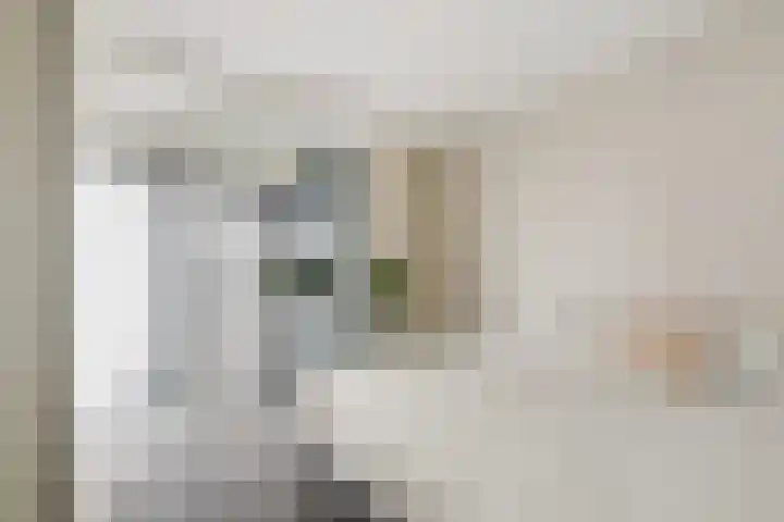 Scheepmakerspassage 145 Rotterdam thumbnail 19