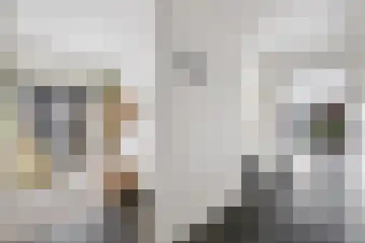Scheepmakerspassage 145 Rotterdam thumbnail 25