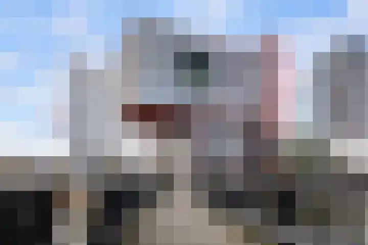 Scheepmakerspassage 145 Rotterdam thumbnail 31