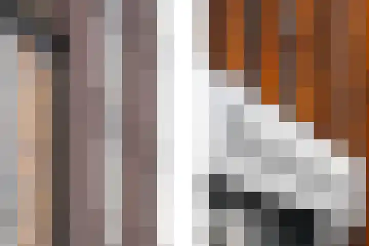 Scheepmakerspassage 145 Rotterdam thumbnail 4