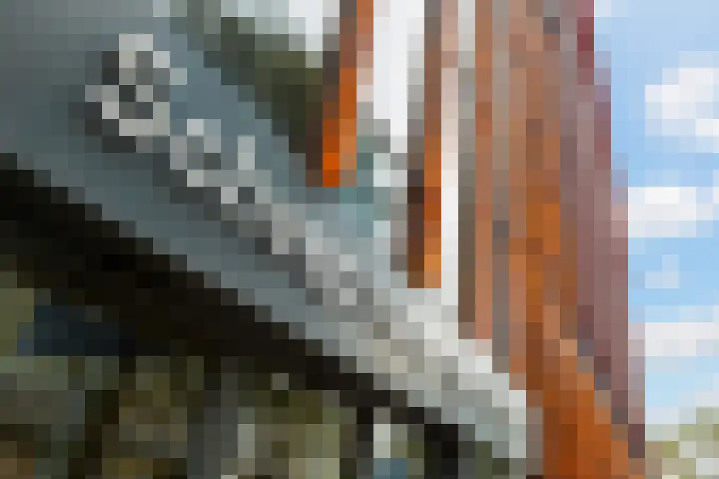 Scheepmakerspassage 147 Rotterdam thumbnail 14