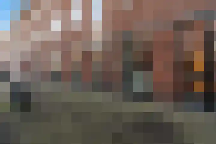 Scheepmakersstraat 43 Den Haag thumbnail 27