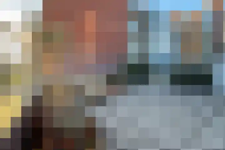 Scheepsjagerstraat 20 Alkmaar thumbnail 4