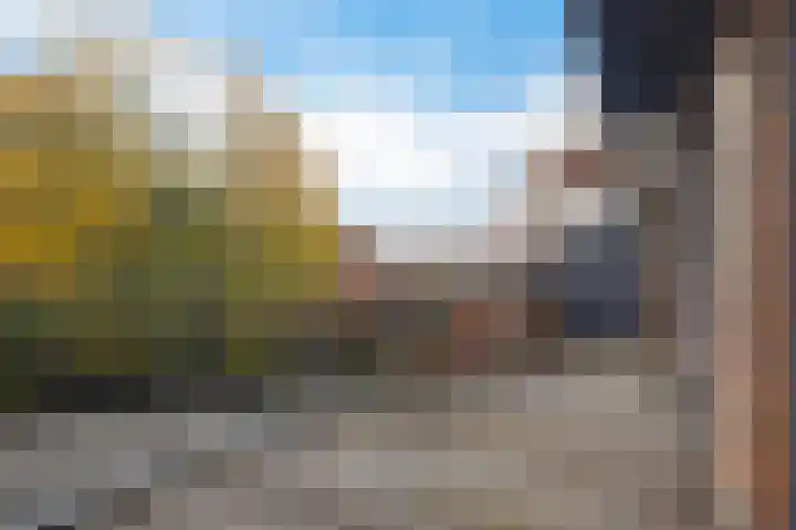 Scheepssingel 28 Harderwijk thumbnail 31