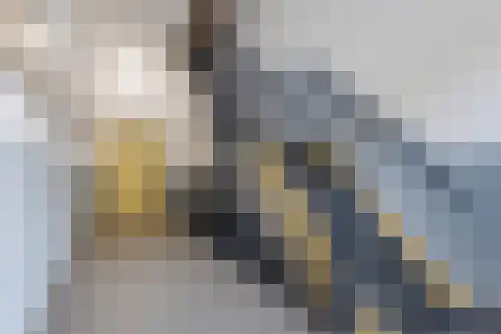 Scheepssingel 28 Harderwijk thumbnail 9