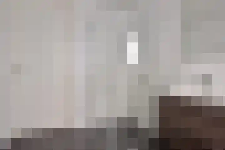 Scheepstimmerstraat 5 Goes thumbnail 30