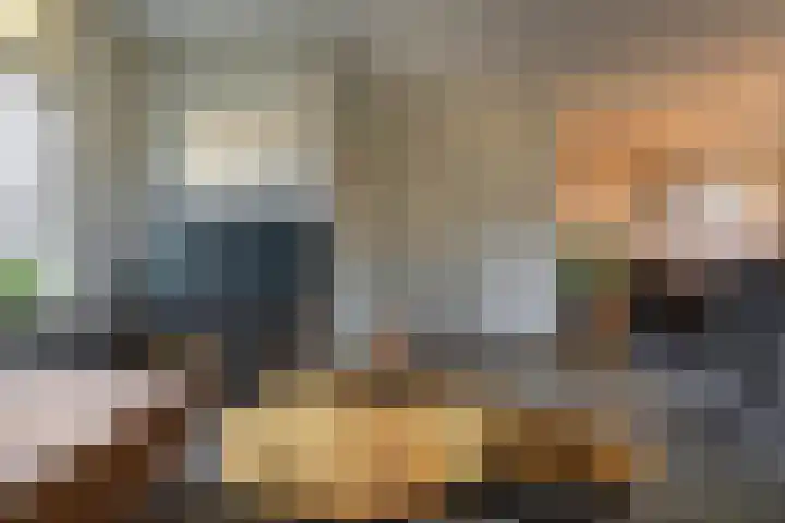 Scheepstuiger 16 Sappemeer thumbnail 12