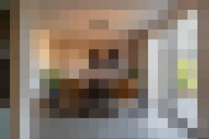 Scheepstuiger 16 Sappemeer thumbnail 19