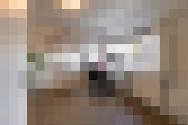 Scheepstuiger 16 Sappemeer thumbnail 29