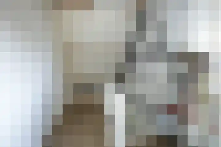 Scheepstuiger 16 Sappemeer thumbnail 34