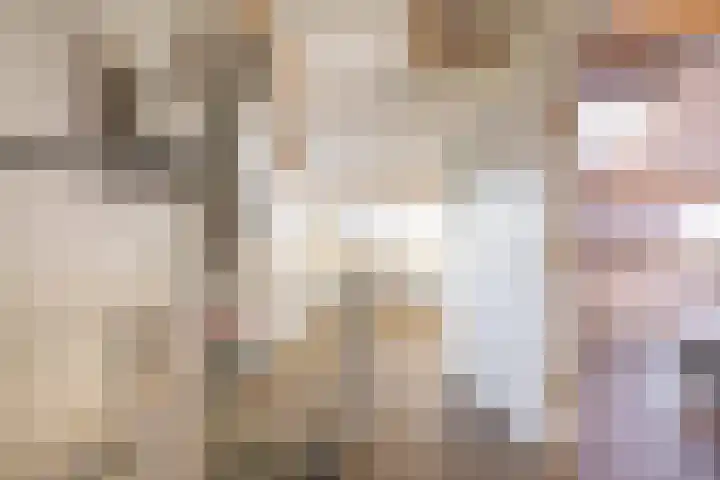 Scheepstuiger 16 Sappemeer thumbnail 35