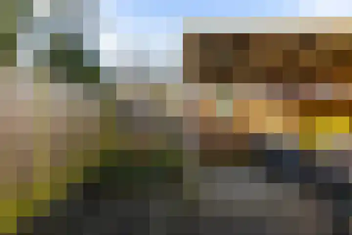 Scheepstuiger 16 Sappemeer thumbnail 39