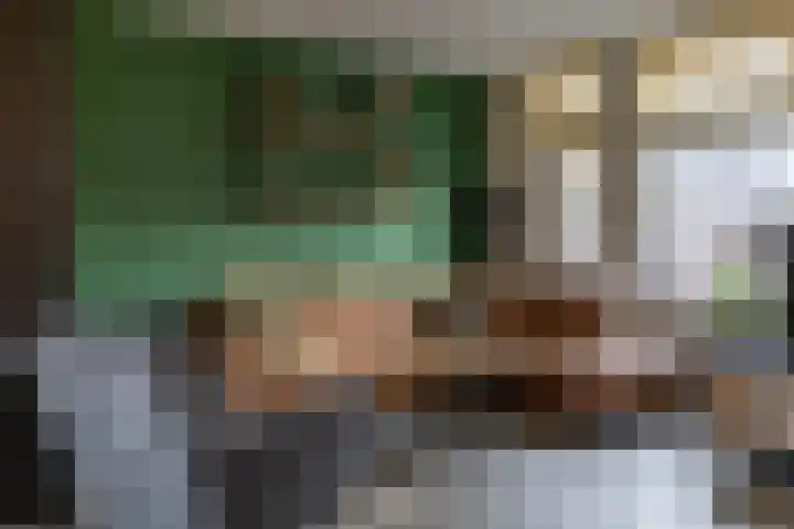 Scheepstuiger 16 Sappemeer thumbnail 9