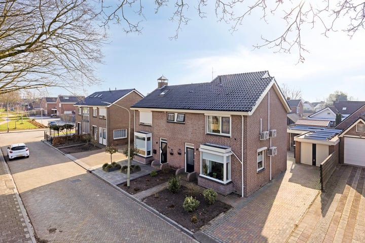 Scheerboom 6 in Emmer-Compascuum foto