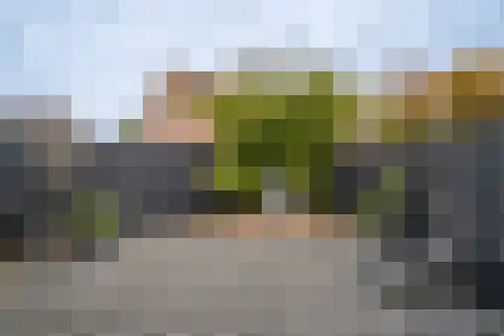 Scheerderhof 13 Helmond thumbnail 20