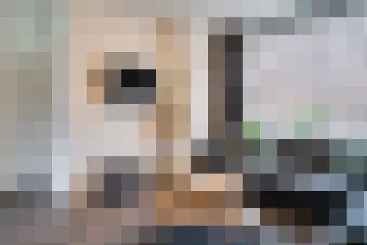 Scheerderhof 13 Helmond thumbnail 5