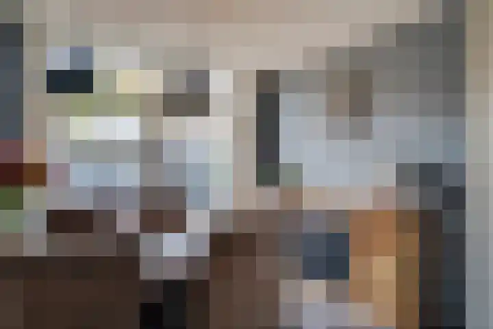 Scheerderhof 13 Helmond thumbnail 8