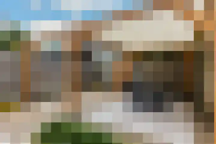 Scheerdersdonk 219 Apeldoorn thumbnail 15