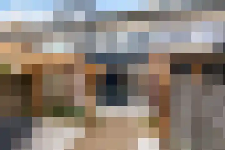 Scheerdersdonk 219 Apeldoorn thumbnail 16