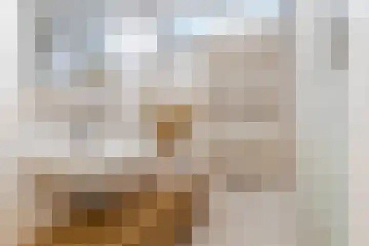 Scheerdersdonk 219 Apeldoorn thumbnail 25