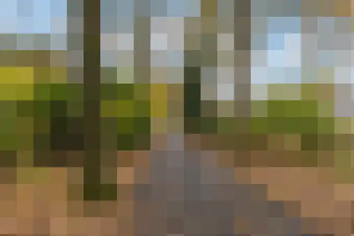 Scheerdersdonk 219 Apeldoorn thumbnail 34