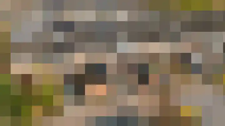 Scheerdersdonk 219 Apeldoorn thumbnail 36