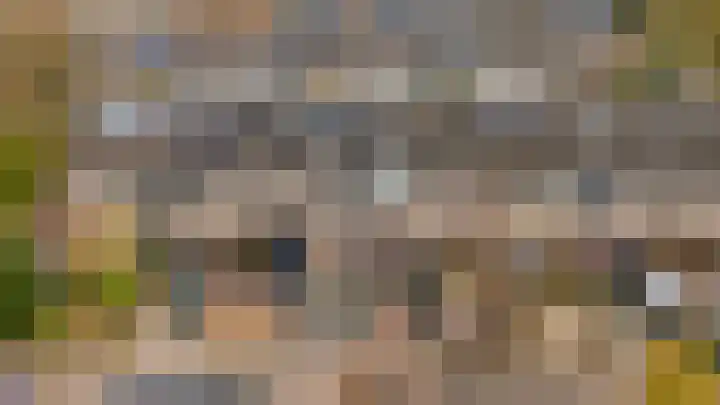 Scheerdersdonk 219 Apeldoorn thumbnail 38