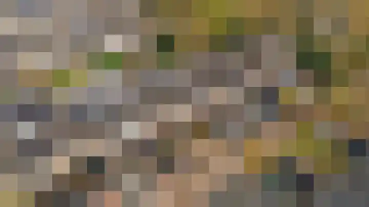 Scheerdersdonk 219 Apeldoorn thumbnail 39