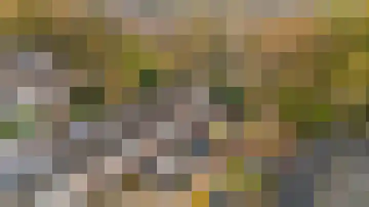Scheerdersdonk 219 Apeldoorn thumbnail 40